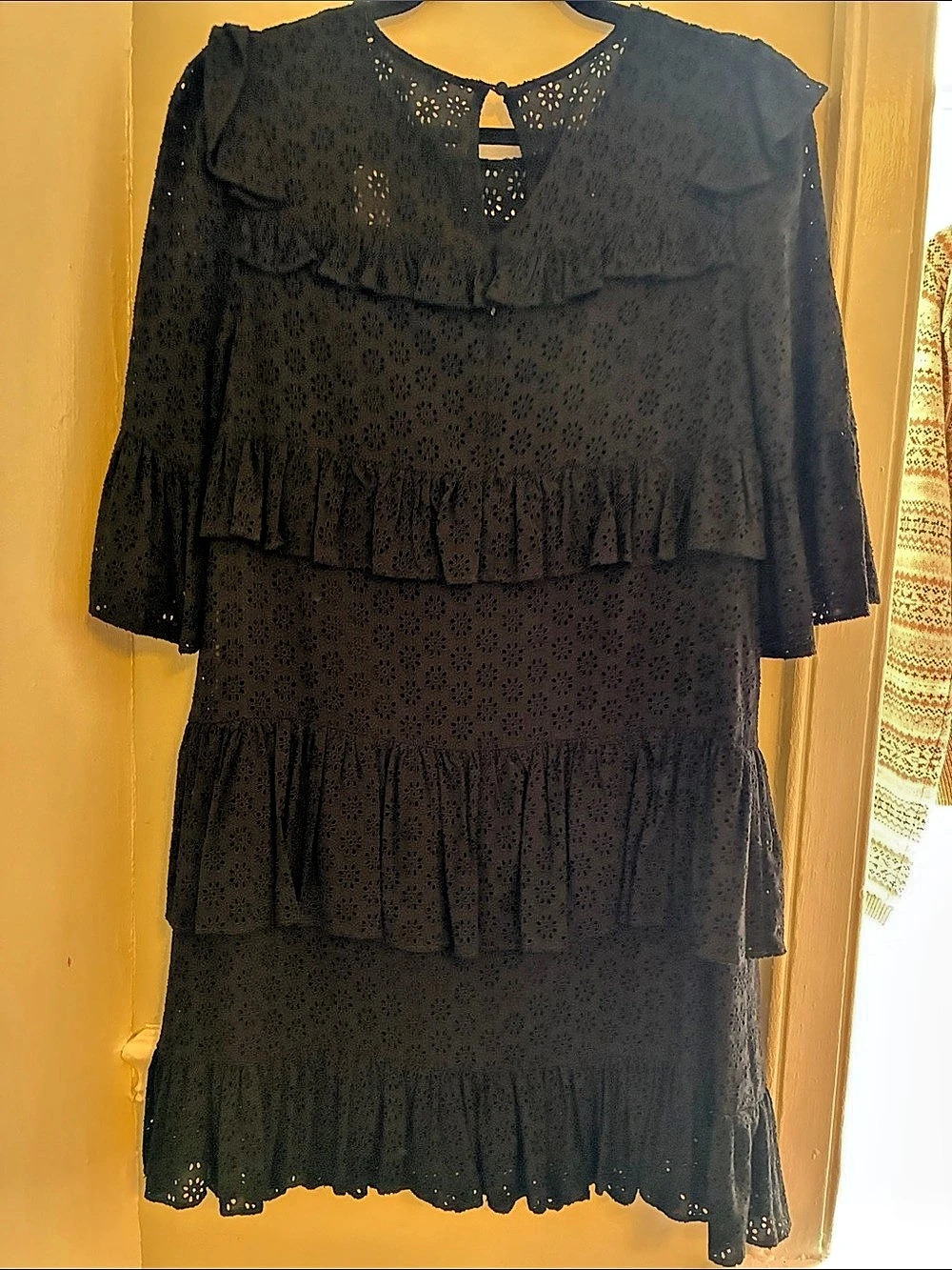 Madewell Waterlily Ruffle Eyelet Dress Black Floral Mini Dress